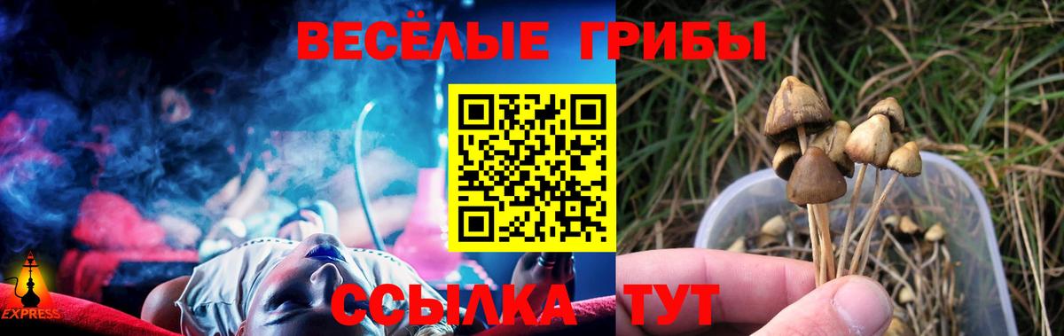 Галлюциногенные грибы прущие грибы  Псилоцибиновые грибы GOLDEN TEACHER  Конаково  Вход с VPN 